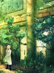  bird birdcage braid cage feathers gimei green green_eyes nature original overgrown pillar raincoat scenery solo tree white_hair 