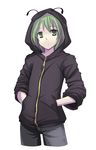  alternate_costume androgynous antennae batsu contemporary green_hair hands_in_pockets hood hooded_jacket jacket reverse_trap short_hair sleeves_pushed_up solo touhou wriggle_nightbug 