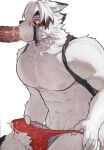 anthro barazoku big_muscles big_pecs bodily_fluids canid canine canis clothed clothing cum cum_in_clothing cum_in_underwear cum_through_clothing cum_through_underwear cumshot disembodied_penis duo ejaculation erection fur genital_fluids genitals hair hi_res humanoid_genitalia humanoid_penis male male/male mammal mihoyo muscular muscular_anthro muscular_male nipples pecs penis red_eyes simple_background sweat tenting underwear underwear_only vein veiny_penis vo7gu46xduh36 von_lycaon wet wet_clothing wet_underwear white_background white_body white_fur white_hair wolf zenless_zone_zero