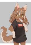  1girl absurdres animal_ears black_shirt brown_fur brown_hair commentary_request cowboy_shot dog_ears dog_girl dog_tail double-parted_bangs fang food furry furry_female grey_background hair_between_eyes highres holding holding_food holding_popsicle letterboxed long_hair looking_at_viewer multicolored_hair open_mouth original outside_border po!_(popoemo) popsicle shirt short_sleeves simple_background solo streaked_hair tail white_streaks yellow_eyes 