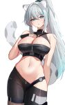  1girl absurdres animal_ears aqua_eyes aqua_hair bare_shoulders bike_shorts black_gloves black_shirt black_shorts breasts chest_harness cleavage cowboy_shot crop_top fingerless_gloves gloves gradient_hair grey_hair hair_between_eyes hair_ornament hand_on_own_chest harness high_ponytail highres large_breasts long_hair looking_at_viewer midriff multicolored_hair navel original parted_lips ponytail shirt short_shorts shorts sidelocks simple_background sleeveless sleeveless_shirt snow_leopard_ears snow_leopard_girl snow_leopard_tail solo stomach streaked_hair suisen_(suisenhwa) sweat tail very_long_hair white_background 