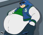 anthro belly big_belly blue_body blue_fur blue_hair bottomwear clothing cocky eulipotyphlan eyewear eyewear_on_head facial_hair fur green_clothing green_eyes green_shirt green_topwear greying_hair hair hand_in_pocket hand_on_belly hedgehog jacket jock leaning_on_wall letterman_jacket male mammal navel obese obese_anthro obese_male overweight overweight_anthro overweight_male pants pockets sega shirt smug sonic_the_hedgehog sonic_the_hedgehog_(series) sunglasses sunglasses_on_head topwear torn_bottomwear torn_clothing torn_pants wearing_sunglasses zangokunatenshi
