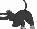  4_toes all_fours anthro balls biceps big_butt big_muscles black_fur butt digitigrade ebonysilver feline fur hybrid lion looking_at_viewer looking_back male mammal muscles nude panther plain_background pose red_eyes solo teasing teeth vamplust 
