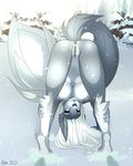  anthro anus areola bent_over breasts butt female fur grey_fur hair hanging_breasts heterochromia looking_at_viewer navel nipples nude presenting presenting_hindquarters pussy snow solo under_boob unknown_species white_hair 