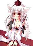  all_fours animal_ears bad_id bad_pixiv_id blush breasts cleavage hat inubashiri_momiji large_breasts meiya_neon panties red_eyes smile solo striped striped_panties tail tokin_hat touhou underwear white_hair wide_sleeves wolf_ears wolf_tail 
