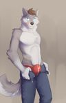  black_nose blue_eyes brown_hair bulge canine chest_tuft clothing fur grey_fur grin hair harlem jeans looking_at_viewer male mammal muscles pants pecs plain_background pose smile solo standing tongue tongue_out topless tuft underwear undressing wolf 