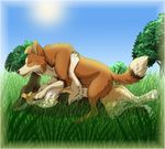  ana avoid_posting canine dog female flint fur grass licking male smile straight tongue tree zerwolf 