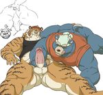  anal anal_fingering anal_penetration anthro balls bear biceps bottomless butt clothing eyes_closed feline fellatio fingering fur gay male mammal muscles oral oral_sex penetration penis pubes sex shirt tank_top tetsuo_oshiba tiger 