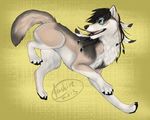  blue_beads blue_eyes brown_fur brown_hair canine claws dreadlocks feathers feral fur grey_fur hair happy hashire long_hair male mammal pawpads paws playful smile telkop white_fur wolf 