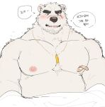  1boy bandaid bandaids_on_nipples bara bear_boy beard bed_sheet blush chest_tuft commentary_request embarrassed facial_hair flustered furry furry_male gold_necklace green_eyes hagom_bear highres jewelry korean_commentary large_pectorals male_focus muscular muscular_male naked_sheet necklace nipples open_mouth original pasties pectorals polar_bear_boy scar scar_on_face short_hair speech_bubble strongman_waist teeth thick_eyebrows tongue topless_male translation_request under_covers upper_teeth_only very_short_hair white_fur white_hair 