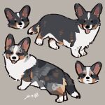  absurdres animal_focus closed_mouth commentary dog english_commentary grey_background highres looking_at_viewer no_humans original rinrinwolf signature simple_background solid_oval_eyes tongue tongue_out welsh_corgi 