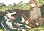  1boy animal blue_eyes boots brown_boots brown_hair brown_pants commentary_request dual_persona grass highres link looking_at_another male_focus outdoors pants pointy_ears rani_grb short_hair sidelocks sitting sweatdrop the_legend_of_zelda the_legend_of_zelda:_twilight_princess watermark wolf wolf_link yawning 