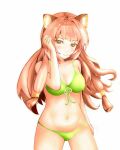  1girl alternate_eye_color animal_ear_fluff animal_ears bikini breasts brown_eyes brown_hair cleavage closed_mouth commentary cowboy_shot green_bikini hair_tubes hand_up highres long_hair medium_breasts metal_hair_tubes missing_tail raccoon_ears raccoon_girl raphtalia simple_background smile solo split_mouth standing swimsuit tanuki tate_no_yuusha_no_nariagari user_guct4577 white_background 