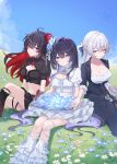  3girls absurdres ahoge black_hair black_pantyhose black_skirt black_tank_top black_vest blue_eyes blue_hair breasts bronya_zaychik bronya_zaychik_(silverwing:_n-ex) cleavage commentary_request dual_persona field flower flower_field grey_eyes grey_hair hair_flower hair_ornament highres honkai_(series) honkai_impact_3rd large_breasts leg_warmers long_hair looking_at_viewer medium_breasts midriff multicolored_hair multiple_girls navel pantyhose red_eyes red_hair rinna_(xxrinna) seele_(alter_ego) seele_vollerei seele_vollerei_(herrscher_of_rebirth) seele_vollerei_(starchasm_nyx) shirt skirt smile tank_top two-tone_hair very_long_hair vest white_leg_warmers white_shirt white_skirt 
