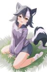  1girl absurdres black_hair blue_shorts facial_mark hair_between_eyes heart heart_facial_mark heart_necklace highres indie_virtual_youtuber jewelry kawaiipony2 looking_at_viewer multicolored_hair necklace purple_sweater short_hair shorts skunk_ears skunk_girl skunk_tail socks solo star_(symbol) star_facial_mark streaked_hair sweater toboso_kuroi triangle triangle_facial_mark two-tone_tail virtual_youtuber white_background white_socks 