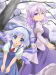  ayase_midori bare_tree blue_eyes blue_hair cirno hat leaning_forward letty_whiterock looking_down multiple_girls purple_eyes purple_hair ribbon short_hair staring touhou tree wings 