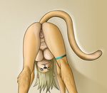  ass_up butt cat feline female looking_at_viewer mammal nude paintchaser plain_background presenting presenting_hindquarters presenting_pussy pussy solo upside_down 