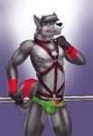  bulge canine dog erection flit green_eyes harness husky leash leather looking_at_viewer male mammal necklace nipples penis simple_background solo underwear 