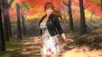  3d breasts dead_or_alive dead_or_alive_5 dress forest jacket kasumi kasumi_(doa) large_breasts nature official_art tecmo 
