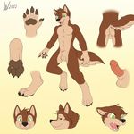  angry anthro balls barefoot black_nose brown_fur canine claws erection fur green_eyes hands happy invalid_tag male mammal model_sheet nathan nude pawpads penis signature solo wagnermutt 