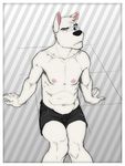  canine cherry_(character) chris_berry claws clothing cuntboy cutoffs denim_shorts dog flat_chested fur hi_res husky intersex male mammal nipples on_floor one_eye_closed shorts sitting solo superslickslasher toned v--r white_fur 
