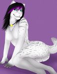  black_hair blue_eyes breasts butt cat collar fangs feline female fingernails fur grey_fur hair hashire hybrid leopard long_teeth mammal mix pink_claws pinup pose purple_hair sabertooth sabretoothed_tiger short_tail shyloe snow_leopard spots star stripes white_fur 