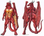  abs anthro back back_turned balls butt claws dragon flaccid front horn male malen model_sheet muscles nude omegaltd pecs penis plain_background pose red_dragon red_eyes red_scales solo standing toe_claws white_background wings 