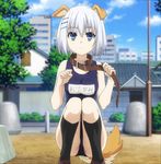  animal_ears ass bangs black_legwear blue_eyes blue_swimsuit blurry breasts brown_footwear building bush clenched_hand cloud collar date_a_live day depth_of_field dog_collar dog_ears dog_tail expressionless frown full_body hair_between_eyes hair_ornament hairclip highres holding kemonomimi_mode kneehighs lamppost leash legs_together loafers looking_at_viewer medium_breasts name_tag old_school_swimsuit one-piece_swimsuit outdoors park paw_pose school_swimsuit screencap shoes short_hair silver_hair sky skyscraper solo squatting swimsuit tail tobiichi_origami tree white_hair 
