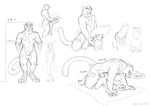  anal anal_penetration anthro balls canine duo feline fennec fox from_behind gay handjob interspecies male mammal multiple_positions panther penetration penis size_difference sketch 