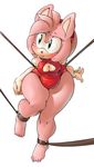  amy_rose anthro argento barefoot bdsm blush bondage bound breasts chubby cleavage clothed clothing female fur green_eyes hair hedgehog leotard mammal pink_fur pink_hair plain_background sega solo sonic_(series) sonicboom53 thick_thighs thighs video_games wide_hips 
