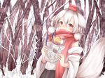  animal_ears bunbunmaru chikuwa_savi food hat inubashiri_momiji newspaper scarf snow solo sweet_potato tail tokin_hat touhou winter wolf_ears wolf_tail 