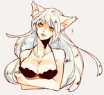  animal_ears black_hanekawa bra breasts cat_ears hanekawa_tsubasa large_breasts long_hair monogatari_(series) solo underwear white_hair yellow_eyes 