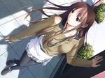 anklet black_legwear breasts brown_eyes brown_hair day dutch_angle from_above game_cg hashimoto_takashi hiiragi_ayumi jewelry leggings long_hair looking_away medium_breasts necklace off-shoulder_sweater outdoors pavement shadow sidelocks sleeves_past_wrists solo sweater white_breath 