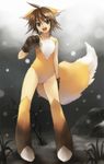  ahoge animal_ears brown_hair copyright_request flat_chest fur gloves happy paws ryou_(kimagure) short_hair silver_eyes solo tail 
