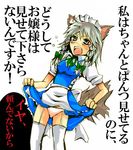  animal_ears asana braid dog_ears dog_tail izayoi_sakuya kemonomimi_mode lowres maid panties silver_hair skirt skirt_lift solo tail tears thighhighs touhou translated twin_braids underwear 