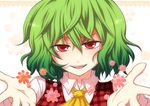  ascot commentary_request flower green_hair kazami_yuuka mokku open_mouth plaid plaid_vest portrait red_eyes smile solo touhou vest 