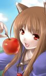  animal_ears apple bad_id bad_pixiv_id brown_hair food fruit holding holding_food holding_fruit holo long_hair nyin red_eyes solo spice_and_wolf wolf_ears 