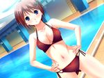  1girl aneimo_neo_+_second_sister bare_shoulders bikini blue_eyes blush breasts brown_hair cameltoe cleavage game_cg hair_ornament hairclip hands_on_hips highres large_breasts legs looking_at_viewer navel pool poolside shinonome_kasuhiko shinonome_kazuhiko short_hair solo standing swimsuit thighs water 
