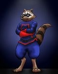  mammal marvel raccoon rocket_raccoon skyryd3r 