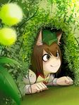  :q animal_ears bad_id bad_pixiv_id banned_artist blush brown_eyes brown_hair cat_ears chen commentary_request hat okahi short_hair smile solo tongue tongue_out touhou 
