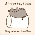  cat cute feline fur grey_fur mammal marshmallow pusheen sleeping 