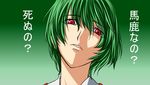  face green_hair head_tilt kazami_yuuka red_eyes samuimu short_hair solo touhou translated 