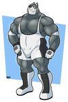  anthro biceps big_muscles black_nose boots bulge canine chubby clothing dog fingerless_gloves footwear fur gloves great_dane grey_fur grin hound_(character) houndgrey male mammal musclegut muscles nipples pecs plain_background pose smile solo standing wrestler wrestling_singlet 
