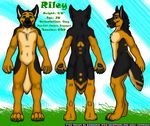  canine dog engagement_ring four_toes german_shepherd grass green_claws green_eyes male mammal model_sheet ref_sheet riley_zenova tongue zambuka 