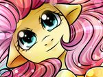  female feral fluttershy_(mlp) friendship_is_magic fur green_eyes hair horse long_hair looking_at_viewer mammal my_little_pony pegasus pink_hair pony princesssilverglow solo wings yellow_fur 