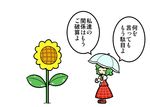  ascot comic dora_ita flower green_hair kazami_yuuka plaid plaid_skirt plaid_vest short_hair skirt skirt_set sunflower touhou translated umbrella vest 