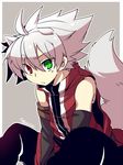  animal_ears bad_id bad_pixiv_id black_pants blazblue dog_ears dog_tail heterochromia kuro_yuzu male_focus pants ragna_the_bloodedge silver_hair solo tail younger 