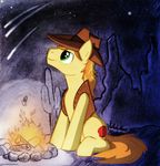  breaburn_(mlp) cactus campfire chrome-mmvii chrome-mmvii_(artist)cute desert equine fire friendship_is_magic hat horse male mammal my_little_pony night pony 