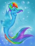  blue_theme breasts bubble bubbles equine female friendship_is_magic hair horse looking_at_viewer mammal mermaid misukitty multi-colored_hair my_little_pony nipples nude pony purple_eyes rainbow rainbow_dash_(mlp) rainbow_hair seahorse solo underwater water 