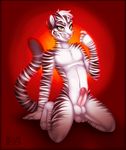  anthro balls body_markings erection feline fur hair humanoid_penis inviting kneeling male mammal markings nude penis plain_background red_background retracted_foreskin roum solo striped_fur tiger uncut white_tiger yellow_eyes 